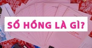 so hong la gi 3
