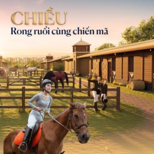 Rong ruổi cùng chiến mã tại Vin Vũ Yên Hải Phòng Rong ruổi cùng chiến mã tại Vin Vũ Yên Hải Phòng