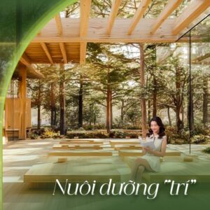 Nuôi dưỡng "trí" với Ikigai Wellness Center Nuôi dưỡng "trí" với Ikigai Wellness Center