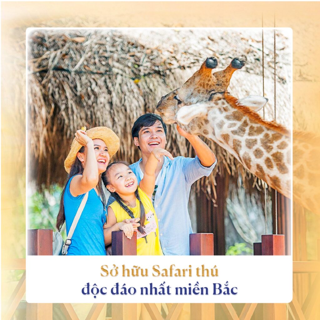 Vinwonders Royal Park sở hữu Safari thú độc đáo nhất miền Bắc